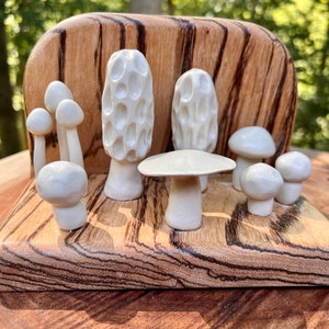 Mushroom Patch Bookend