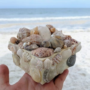 Seashell Trinket Box, Sailor&#39;s Valentine, Seashell Covered Box #1