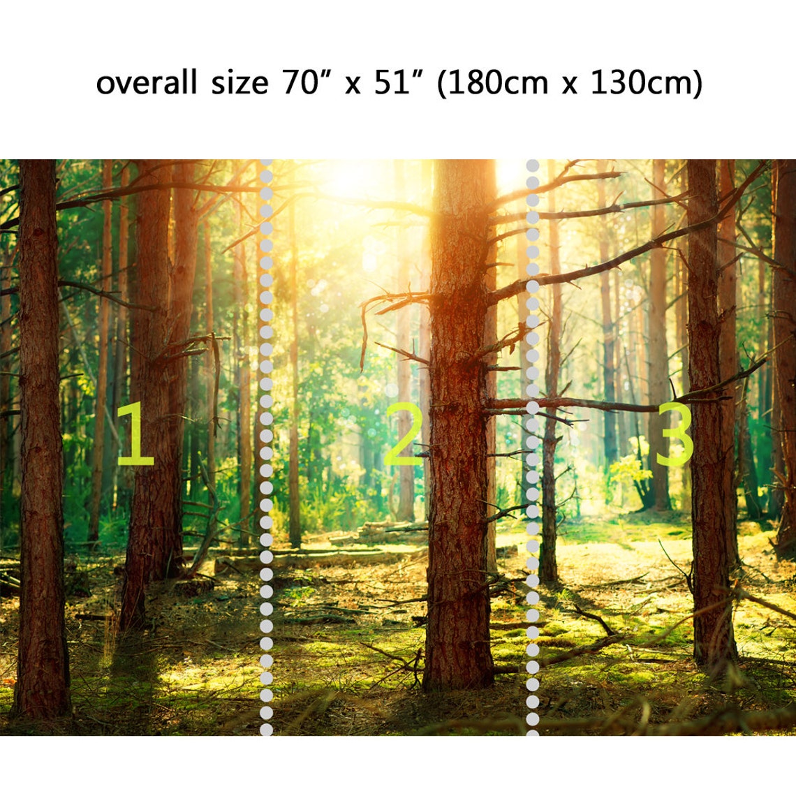 Wall Mural Pine Forest Peel and Stick Repositionable Fabric Etsy