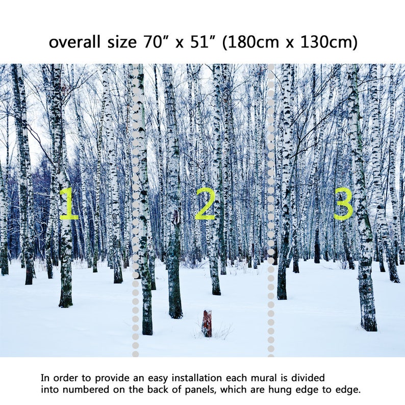 Peel and Stick Repositionable Fabric Wallpaper for Interior Home Decor Wall Mural Frozen birch forest in winter day