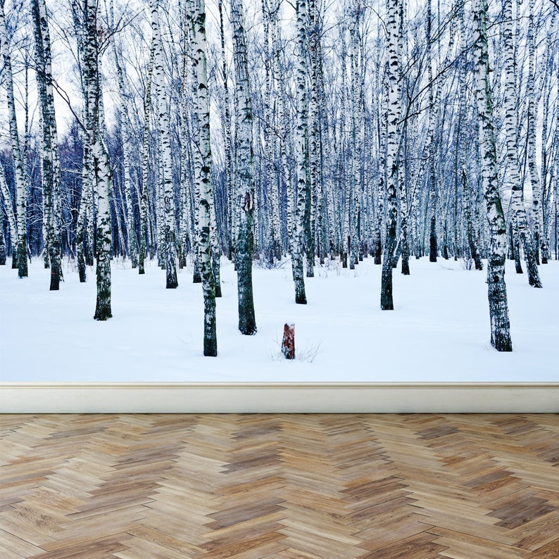 Peel and Stick Repositionable Fabric Wallpaper for Interior Home Decor Wall Mural Frozen birch forest in winter day