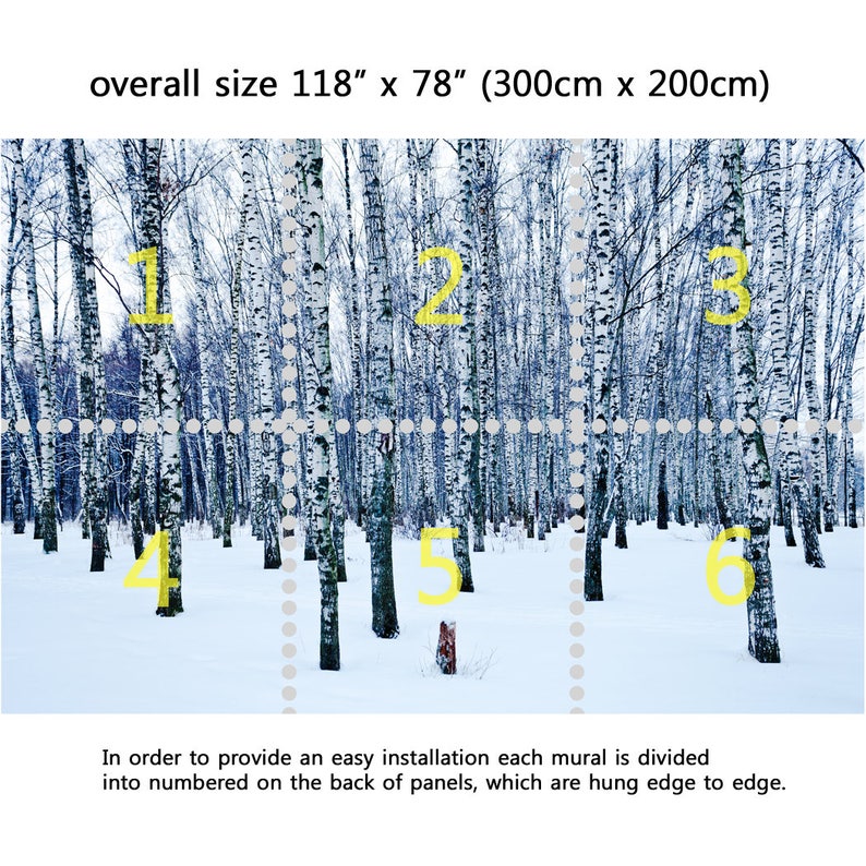 Peel and Stick Repositionable Fabric Wallpaper for Interior Home Decor Wall Mural Frozen birch forest in winter day