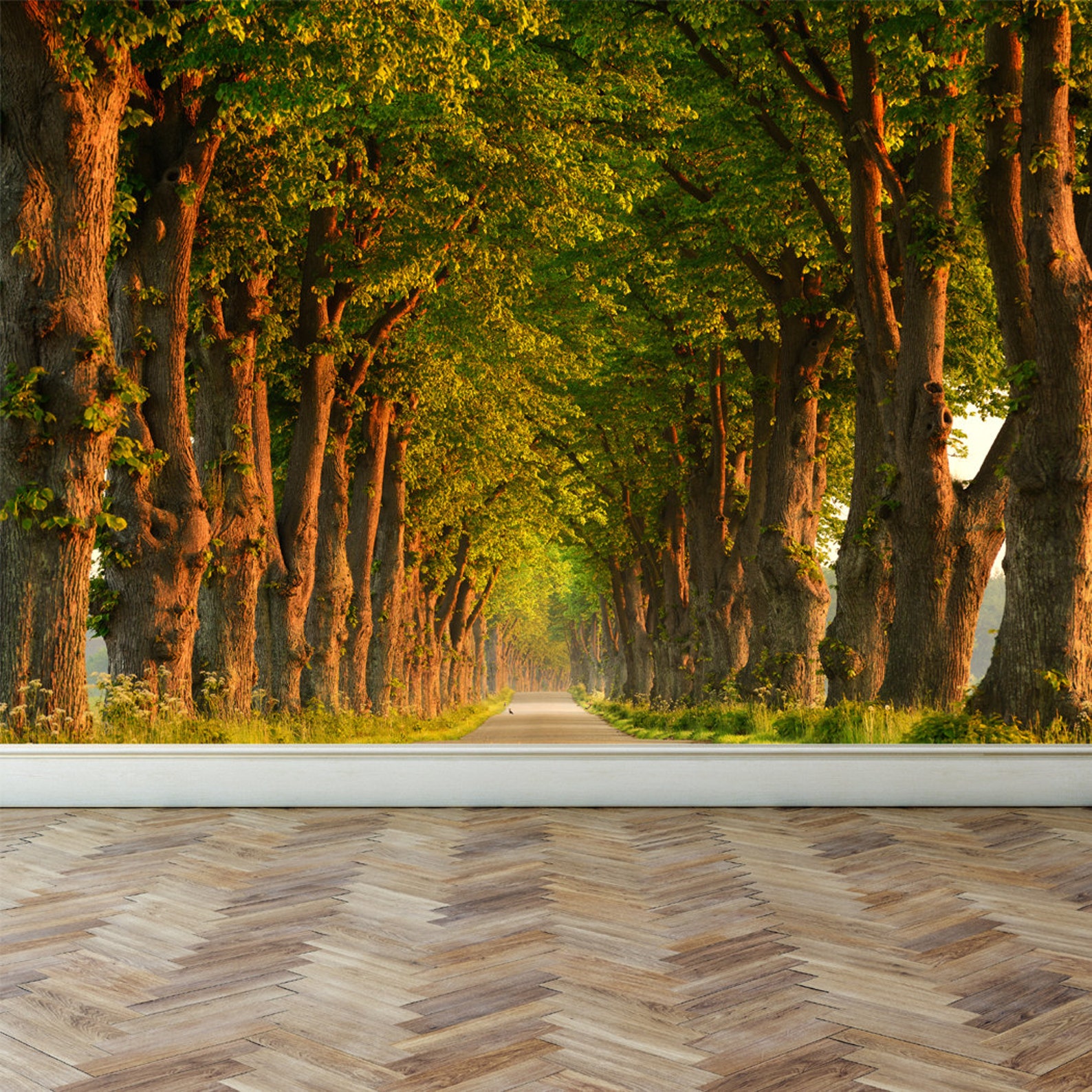 Buy Wall Mural Country Forest Road Peel and Stick Repositionable Online