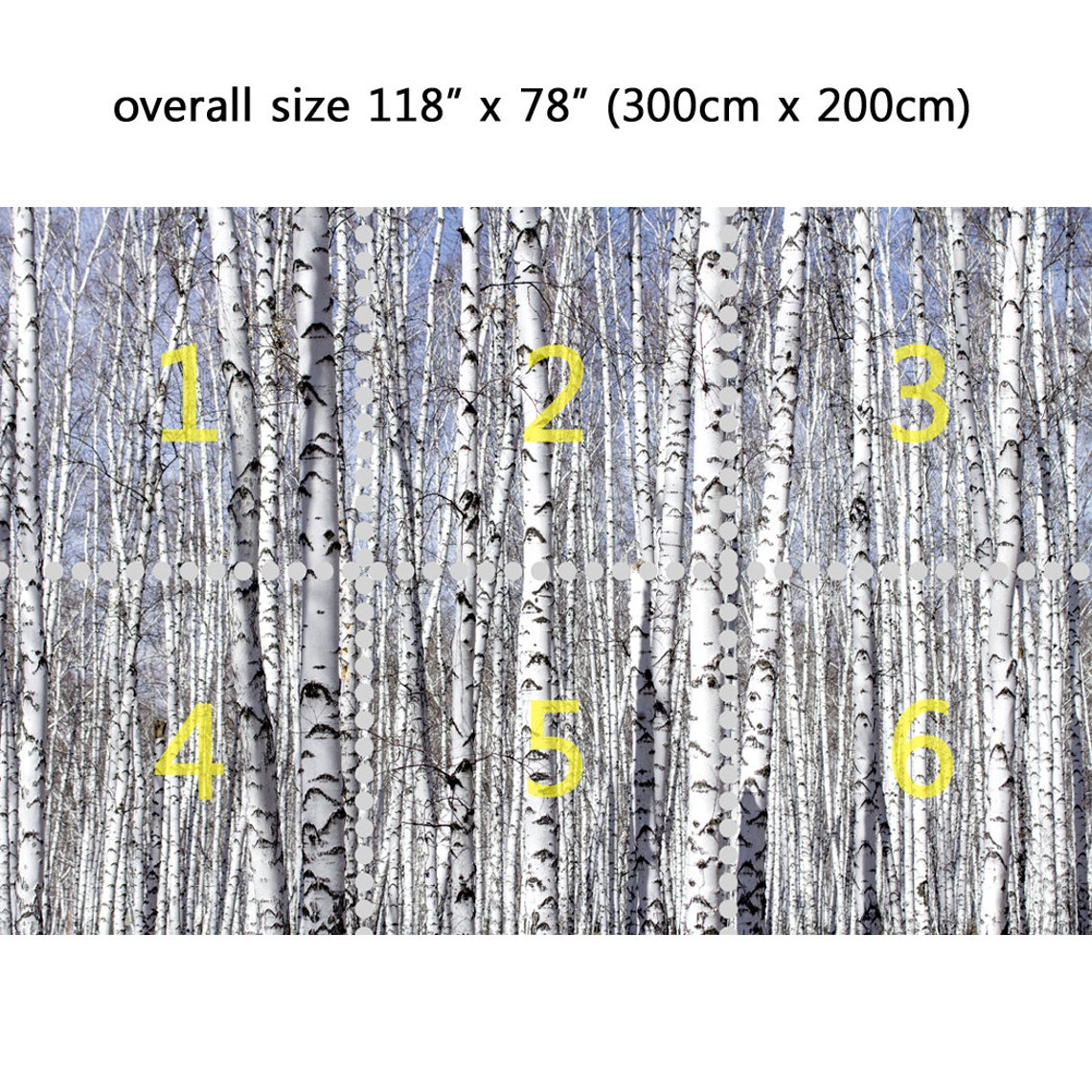 Wall Mural White Birch Trees Peel and Stick Repositionable Etsy