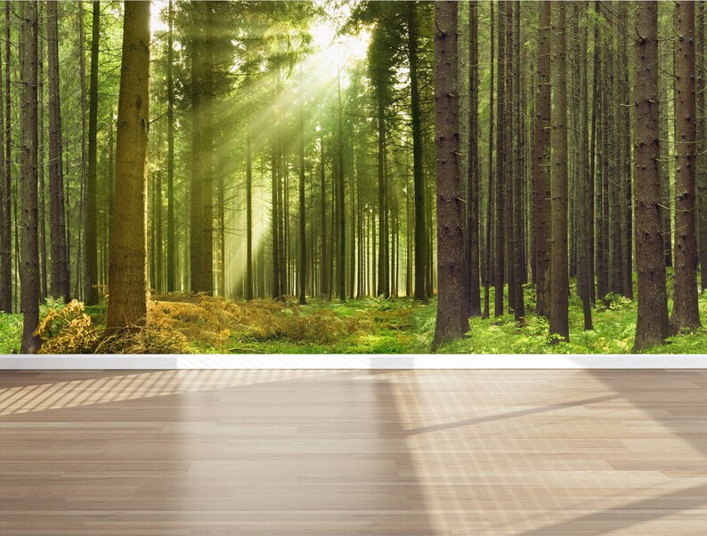 Wall Mural Life in the Woods Peel and Stick Repositionable Fabric Wallpaper for Interior Home Decor