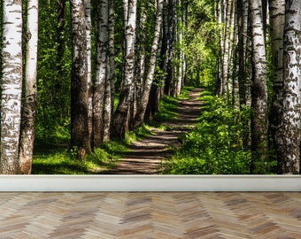 Wall Mural Forest and sunshine, Peel and Stick Repositionable Fabric Wallpaper for Interior Home Decor