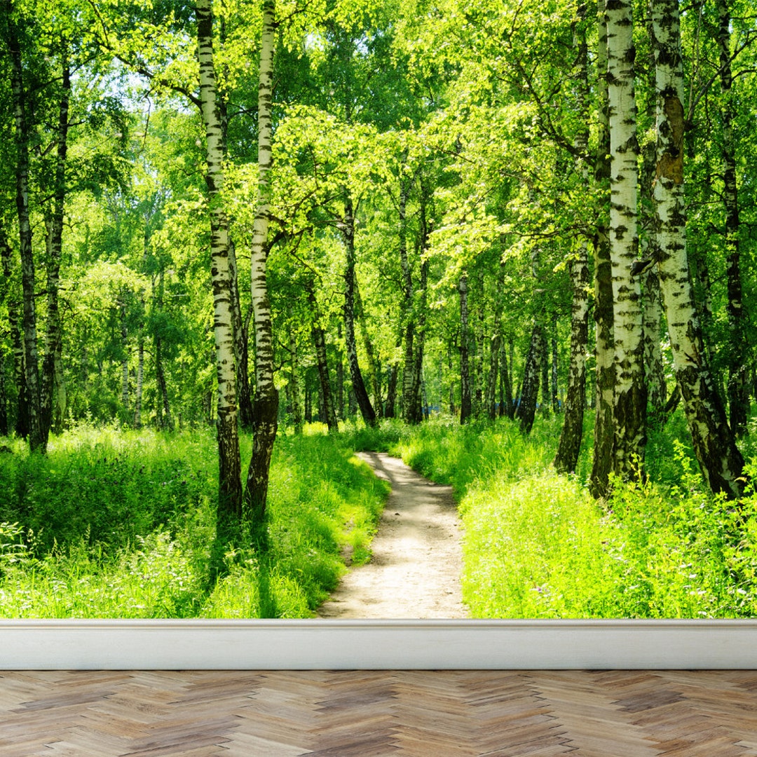 Wall Mural Birch Forest in Summer Peel and Stick Etsy