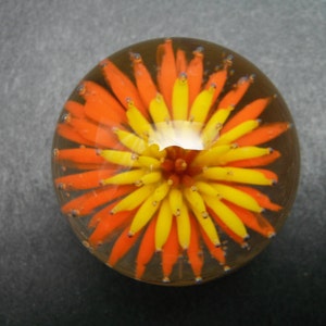 May include: A clear glass marble with an embedded floral design. The design features a central white core surrounded by yellow and orange petal-like structures. The marble is round and has a slight magnifying effect.