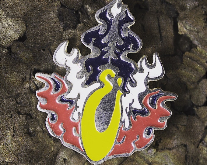 SCI Colorado Pin