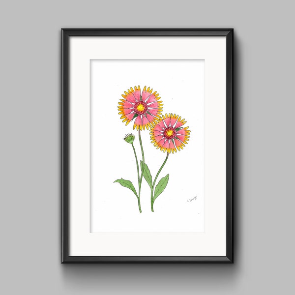 Texas Wildflowers - Etsy