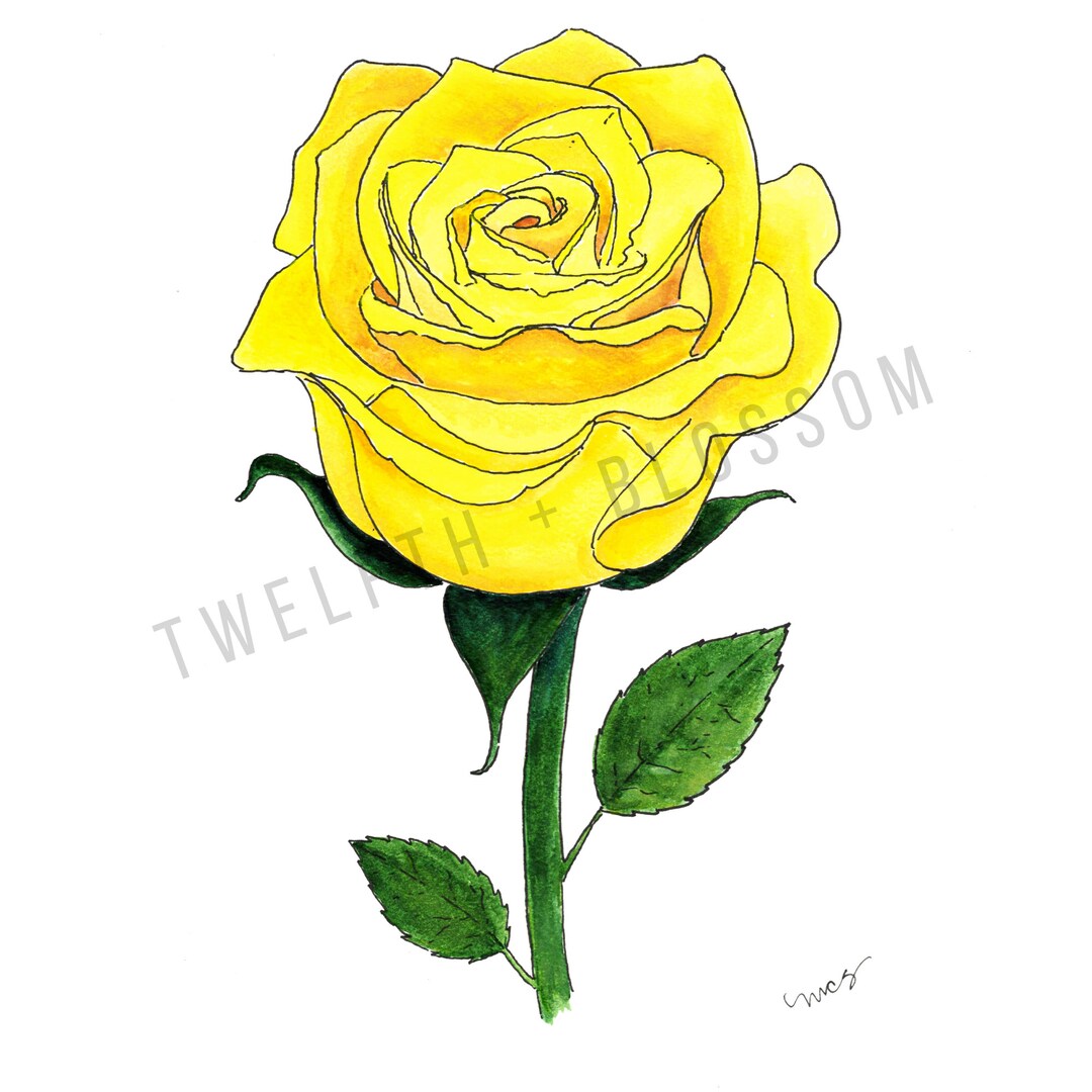 Digital Download Yellow Rose of Texas Watercolor Painting Print, Yellow