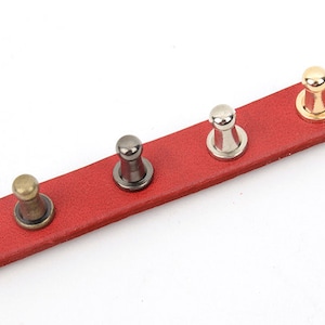 May include: A red leather strap featuring four metal rivets in different finishes: antique brass, dark gunmetal, silver, and gold. The rivets are spaced along the strap, displaying a variety of metallic colours and textures.