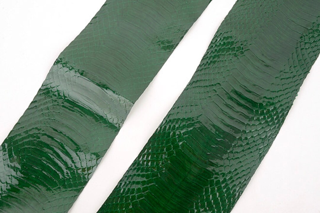 Grossy Green Water Snake Skin genuine Leather for - Etsy