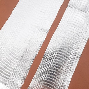 Könnte beinhalten: Zwei Streifen weißer Schlangenhaut mit Schuppenmuster vor braunem Hintergrund. Die Schlangenhaut hat eine strukturierte Oberfläche und ein natürliches Aussehen, geeignet für Bastel- oder Designprojekte.