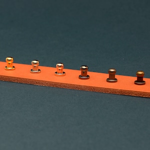 May include: A close-up of a leather strip with six metal rivets in various metallic finishes: gold, silver, rose gold, bronze, dark bronze, and brass. The rivets are evenly spaced along the orange-brown leather, set against a dark teal background.