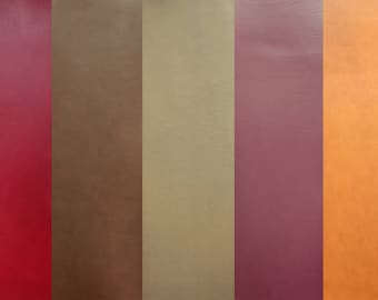 Puede incluir: Muestra vertical de cinco muestras de cuero de diferentes colores: rojo, marrón, beige, burdeos y naranja. El cuero parece tener una textura lisa y la imagen está uniformemente iluminada.
