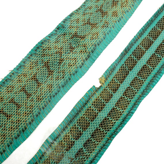 Natural Pattern Mint Gold Shine Water Snake Skin genuine | Etsy