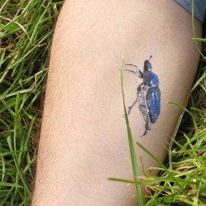 Blauwe Hoplie: tijdelijke tatoeage + verklarende informatieblad / / collectie Loire