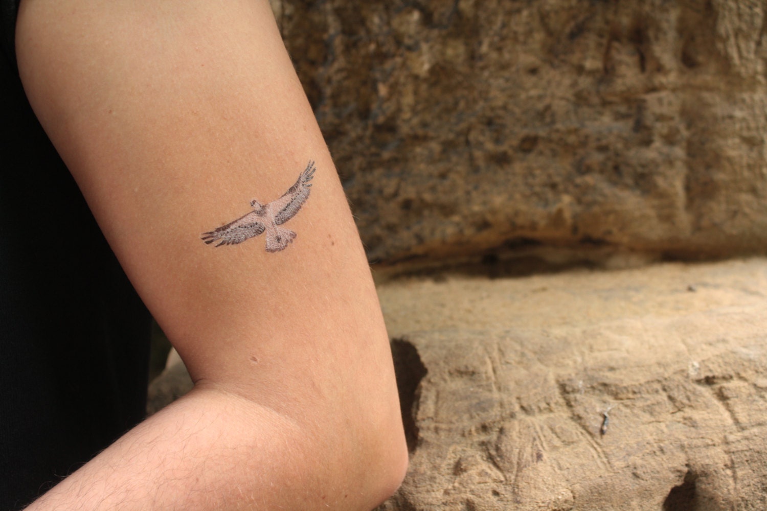 Osprey Ephemeral Tattoo Explanatory Fact Sheet Etsy