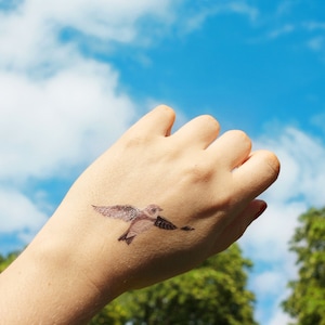 Bank swallow: tijdelijke tatoeage + verklarende informatieblad / / collectie Loire