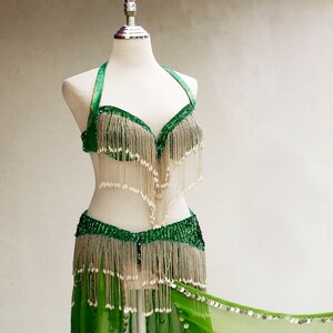 Sexy green belly dance suit, embroidered bellydance dress, skirt and bra oriental outfit, vintage women wear, Hand Beaded Belly Dance Samba