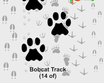 Bobcat Track decals, truck decal, vehicle or outdoor graphic,