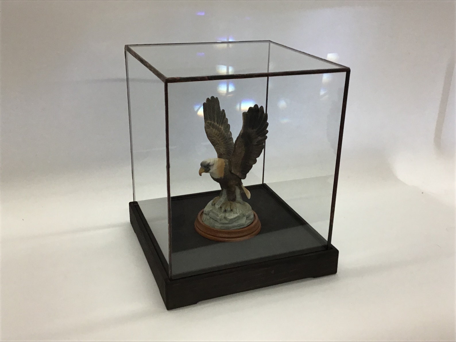 12 X 8 X 6 Tall Custom Glass Display Box With Wood Base Etsy