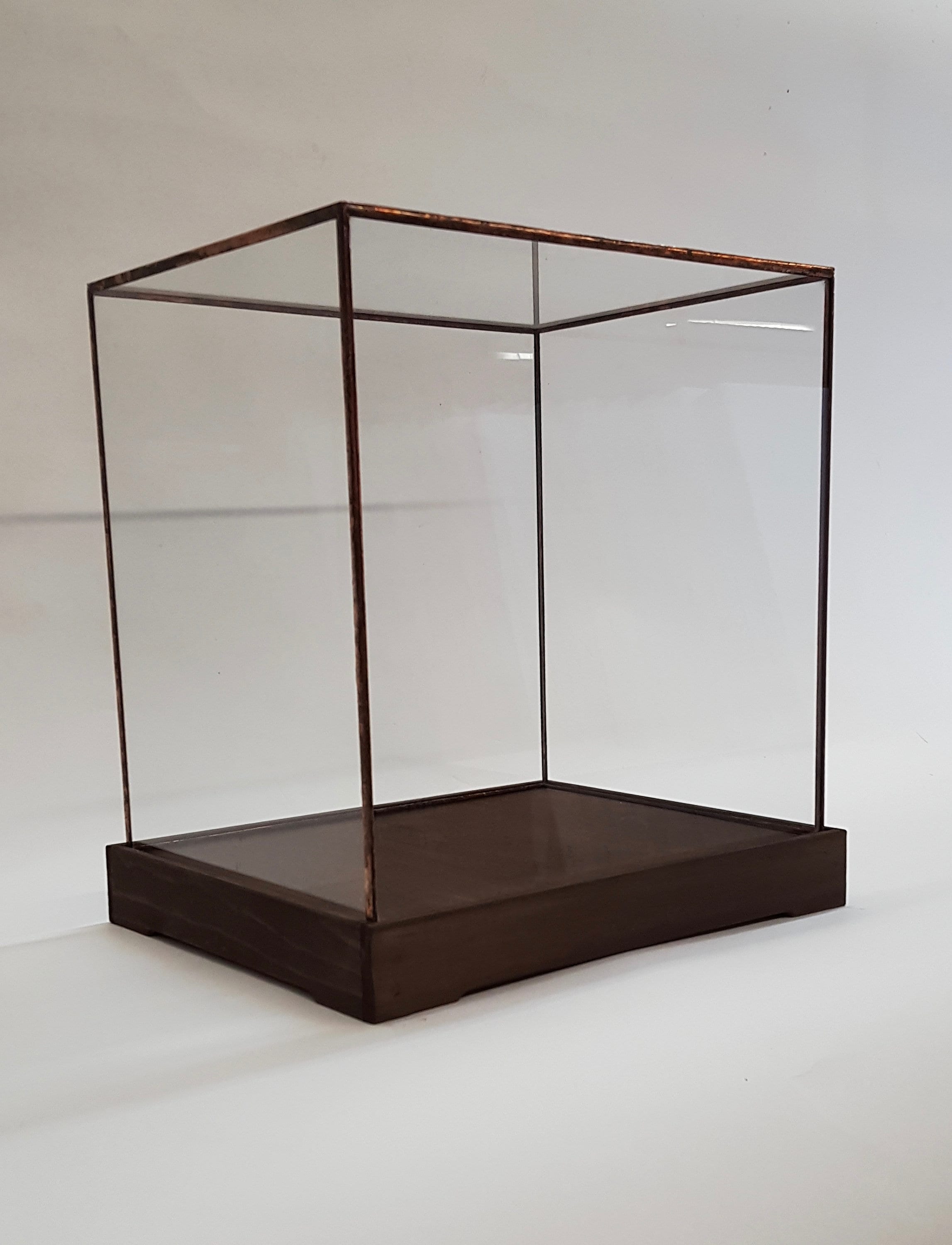 Museum Display Cases for sale 82 ads for used Museum Display Cases