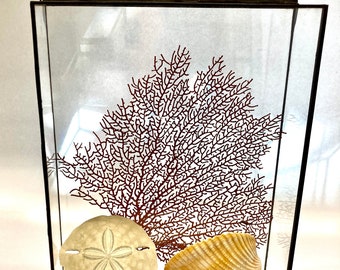 Top Loading "Beachcomber" 8x10 x 3"or 4"Wall Hanging Shadow Box Frame - Clear Glass Display Box with Flip Lid