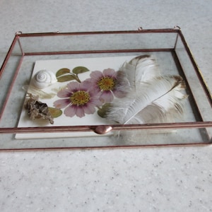 Larger Sizes Shallow Depth Short Stack Glass Display Box  - Hinged Top - Jewelry - Collections