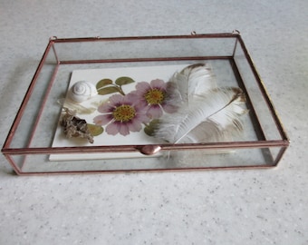 Larger Sizes Shallow Depth Short Stack Glass Display Box  - Hinged Top - Jewelry - Collections