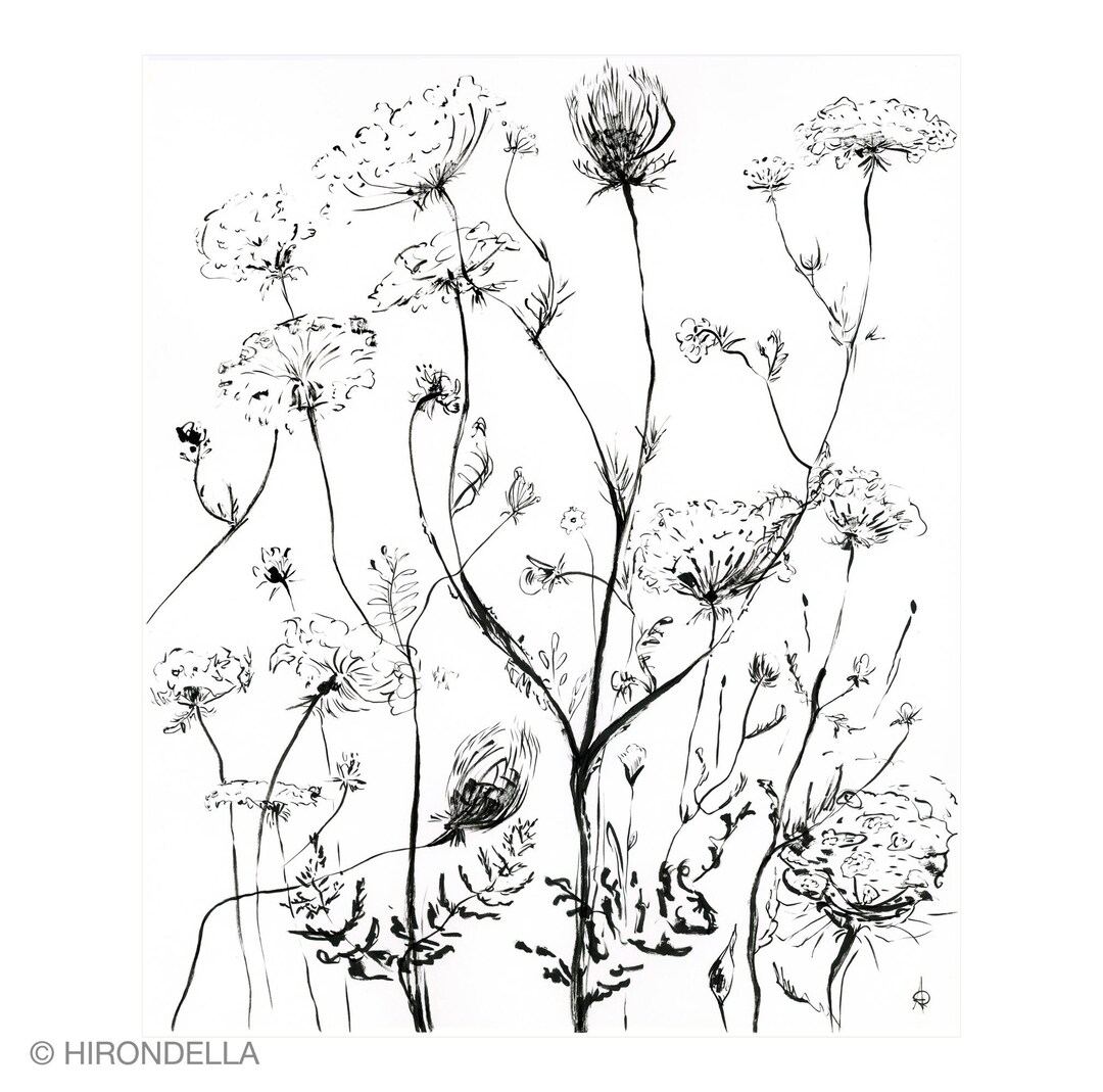 Botanical Print, Flower Line Art Print, Black Floral Wall Art, Wild