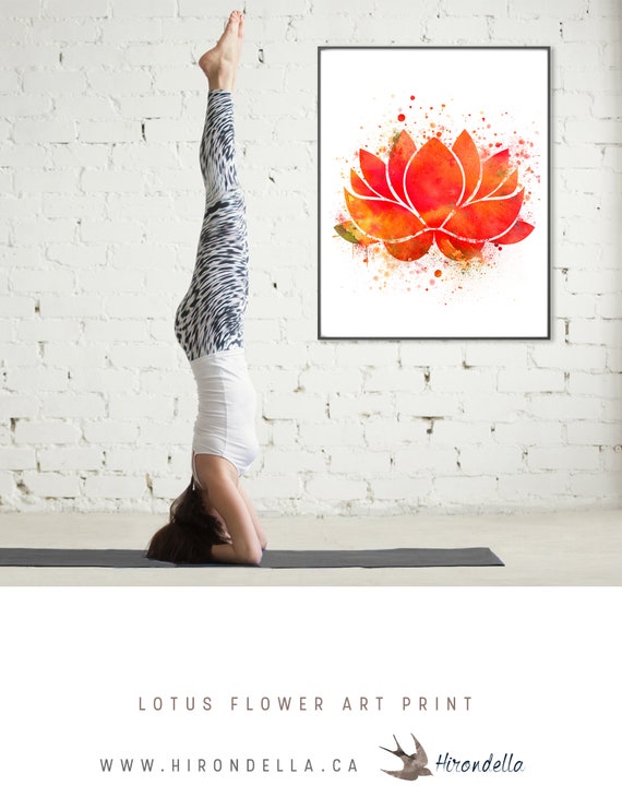 Divertido, Señales De Baño, Decoración De La Pared Del Baño, Arte De La