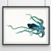 see more listings in the Octopus Art  section