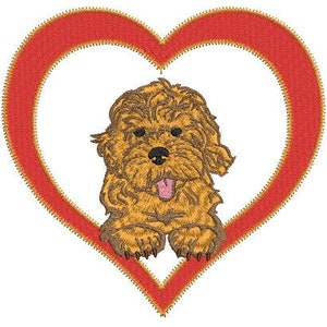 Labradoodle machine embroidery design-4 sizes