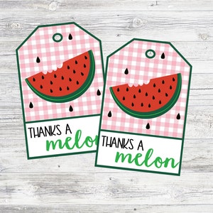 May include: Two pink and white gingham watermelon favor tags with the text "Thanks a melon" in green letters.