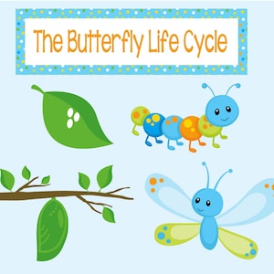 Butterfly Life Cycle Puppets. Perfect for Caterpillar & Butterfly Lessons, Preschool, Kindergarten, Homeschooling. Instant Digital Download