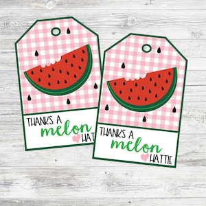 Può includere: Due etichette di favore a forma di anguria in gingham rosa e bianco con il testo "Grazie per un melone" e un cuore rosa con il nome "Hattie" su ogni etichetta.