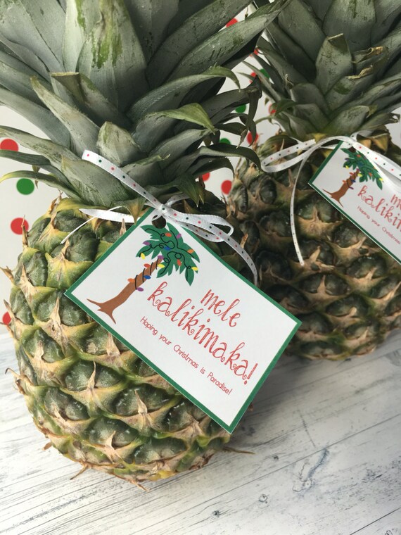 Hawaiian Christmas Plant Pouch Great Way To Present your Gift Mele Kalikimaka 
