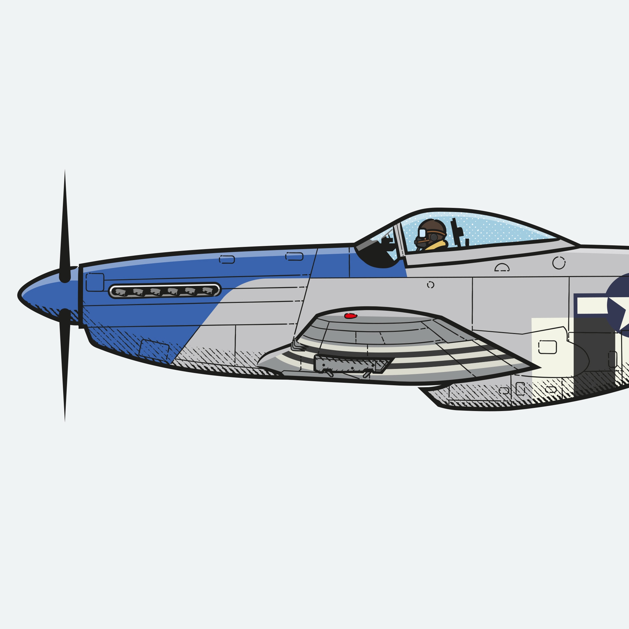 WARBIRD HISTORY P-51 MUSTANG 洋書　3-2 WARBIRD HISTORY P-51 MUSTANG 洋書 3-2 P-51 Mustang Warbirds