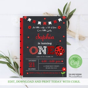 Ladybug Editable Invitation , Ladybug First Birthday Ladybug chalkboard, Ladybug 1st birthday, Ladybug party, Instant Download with Corjl