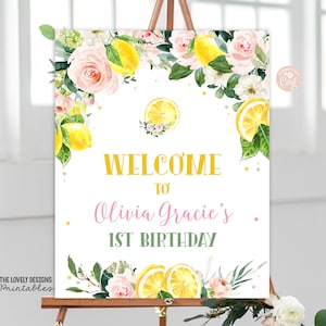 Editable Lemonade Welcome Sign Lemonade Birthday Party Sign Sunshine Lemonade Pink Floral Poster Lemon Party Decor PRINTABLE DOWNLOAD PLR1