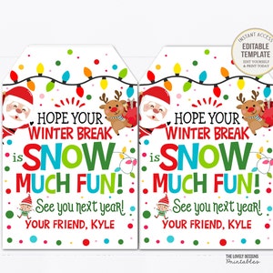 Hope your Winter Break is Snow Much Fun Tag From Teacher Student Holiday Gift Tag Printable Kids Christmas Classroom Preschool Party Favor
