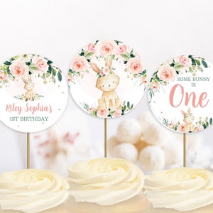 Editable Bunny Cupcake Toppers Bunny Birthday Girl Party Easter Floral Pink Some Bunny is One Bunny Circles Decor PRINTABLE DOWNLOAD BPF4