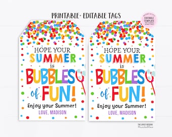 Summer Bubbles of Fun Tags End of School Tag Bubble Favor Tag Classmate Gifts Tag Label Thank You Teacher PTO Printable Editable Download