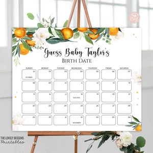 EDITIERBARE Little Cutie Baby Due Date Kalender Orange Clementine Errate Babys Geburtstagsspiel Citrus Baby Shower Prediction DRUCKBARE DOWNLOAD