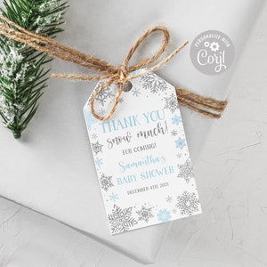 EDITABLE Winter Wonderland Baby Shower Favor Tag Snowflakes Blue Silver Winter Wonderland Snow Much Thank You Tags PRINTABLE DOWNLOAD SWB4