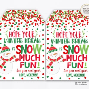 Hope your Winter Break is Snow Much Fun Tag From Teacher Student Holiday Gift Tag Printable Kids Christmas Classroom Preschool Party Favor