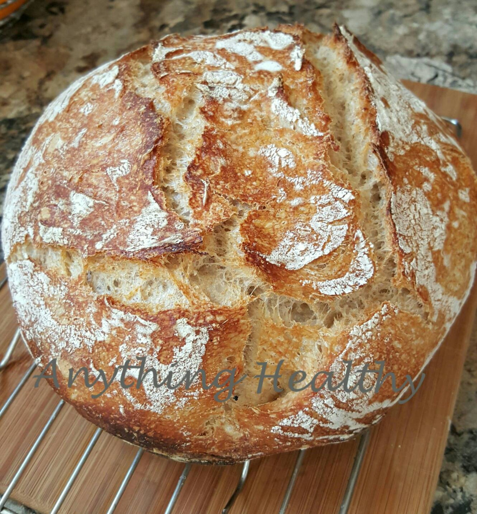 Wild Sourdough Wheat Bread Starter Dried Dehydrated Probiotic Etsy