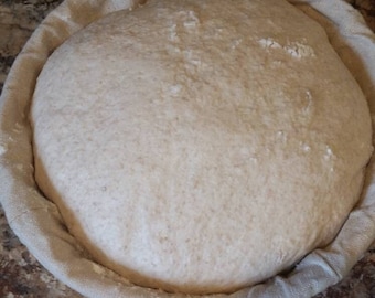 Oud 100% biologisch eenkorentarwe zuurdesembrood, probiotische wilde gist gedroogd